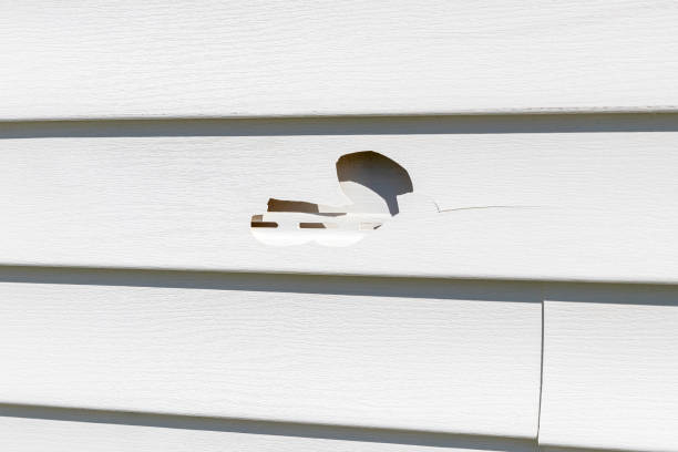 Best Vinyl Siding Installation  in USA